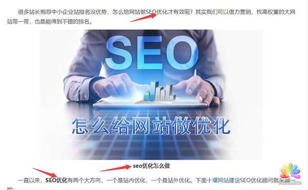 3、SEO教程网：SEO视频教程，哪个网站比较全面？ 